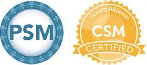 PSM and CSM certification badges.